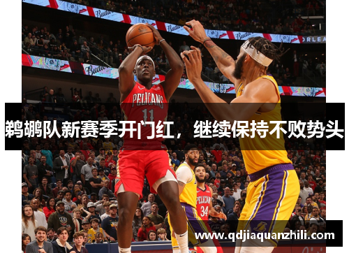鹈鹕队新赛季开门红，继续保持不败势头